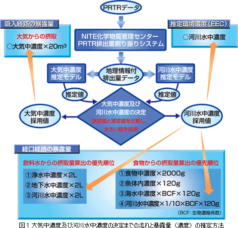 図1 大気中濃度及び河川水中濃度の決定までの流れと暴露量（濃度）の推定方法