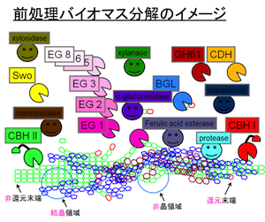 画像:酵素糖化の現状2