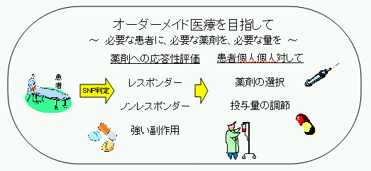 オーダーメイド医療を目指して ～必要な患者に、必要な薬剤を、必要な量を～