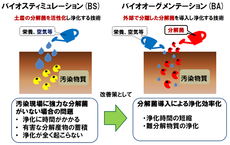 バイオスティミュレーションとバイオオーグメンテーション