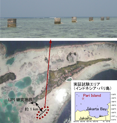 装置外観及び実証場所