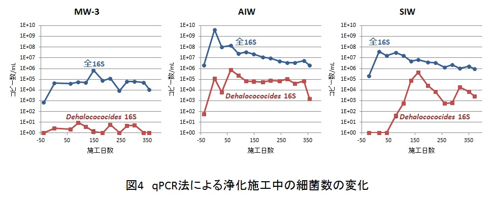 図4　qPCR法による浄化施工中の細菌数の変化