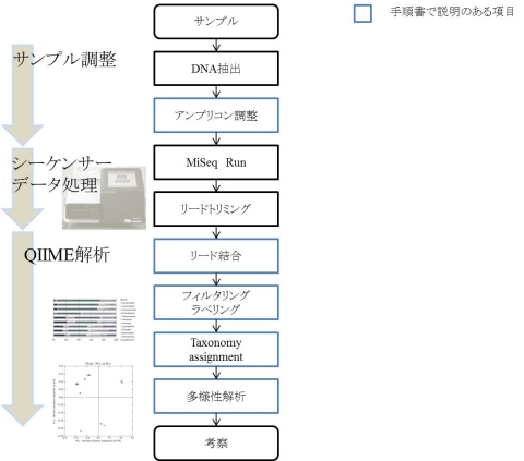 環境サンプルからの新型シーケンサーを用いたアンプリコンシーケンスフローチャート