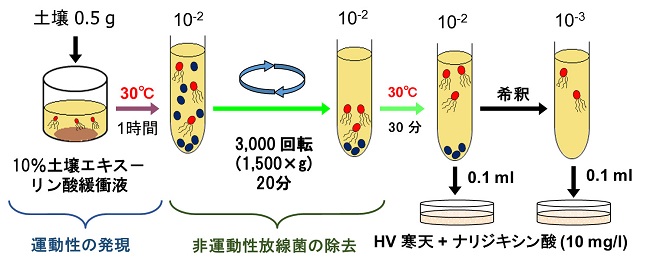 再水和－遠心沈殿法概略図