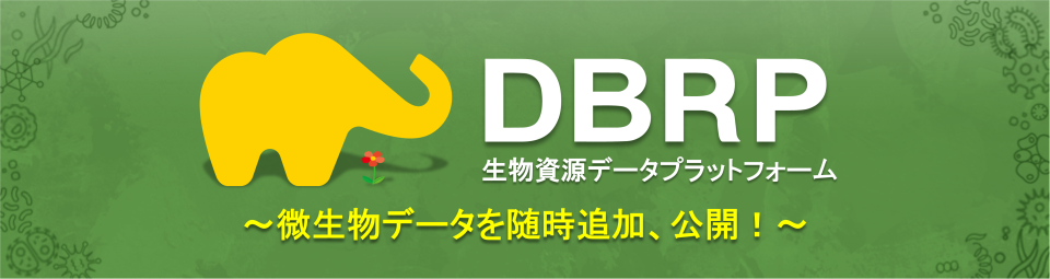 「生物資源データプラットフォーム（DBRP）」～微生物に関連した様々な情報をワンストップで検索可能に～