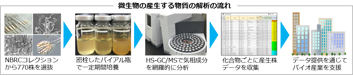 HS-GC/MSを用いた気相成分分析フローの図