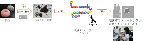 獣毛繊維鑑別試験方法の概要図