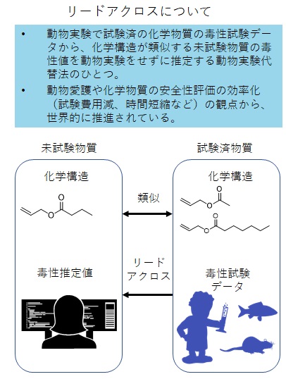 リードアクロスについて。動物実験で試験済の化学物質の毒性試験データから、化学構造が類似する未試験物質の毒性値を動物実験をせずに推定する動物実験代替法のひとつ。動物愛護や化学物質の安全性評価の効率化（試験費用減、時間短縮など）の観点から、世界的に推進されている。