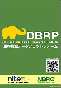 DBRPリーフレットの表紙画像です