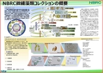 NBRC微細藻類コレクションの概要のチラシの画像です