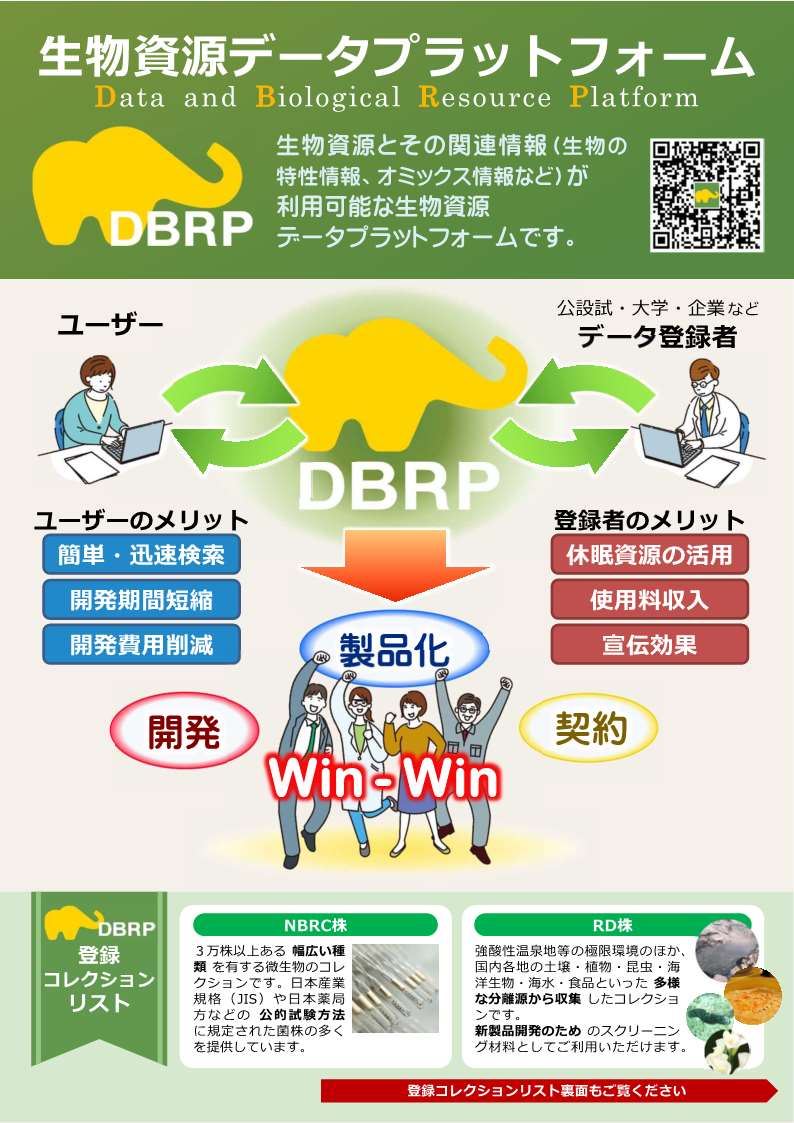 DBRPチラシの画像です