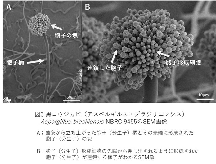 記事2画像3_メルマガ88号